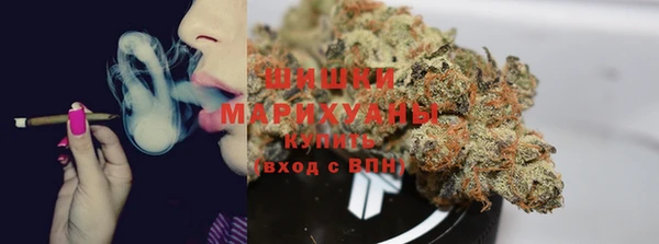 mix Богородицк